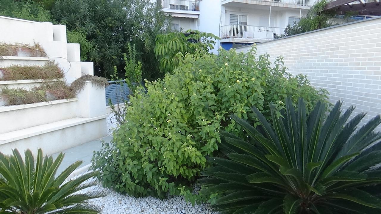Aпартаменты В San Juan Playa 알리칸테 외부 사진